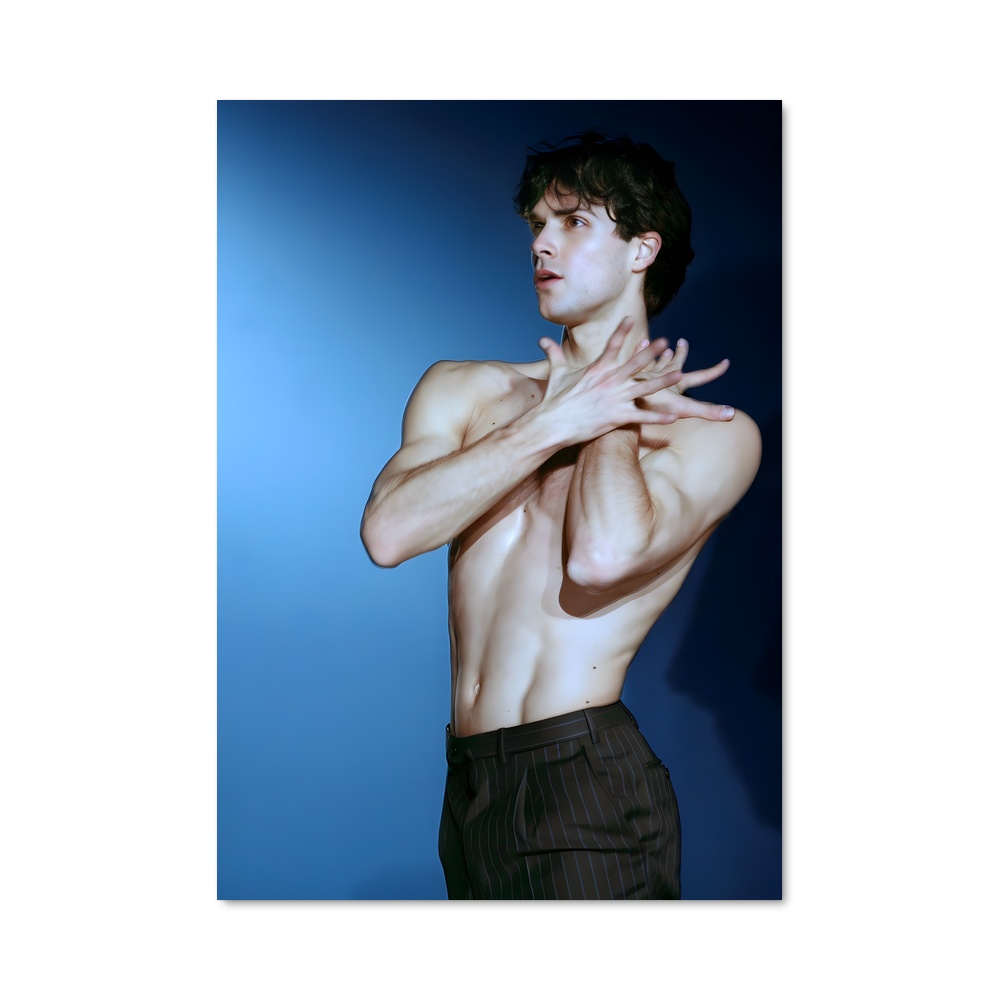 Poster Roberto bolle plan